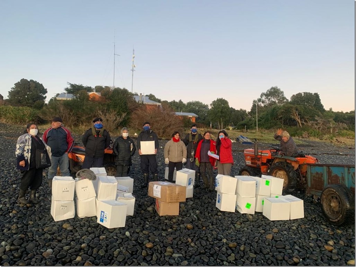 apoyo logistico Ahulliñí y Nayahué (1)