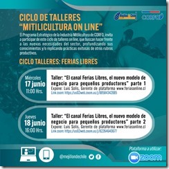 taller Ferias Libres (1)