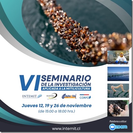 VI Seminario2020