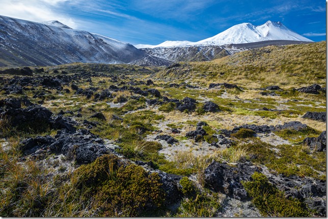 Parque Nacional Puyehue