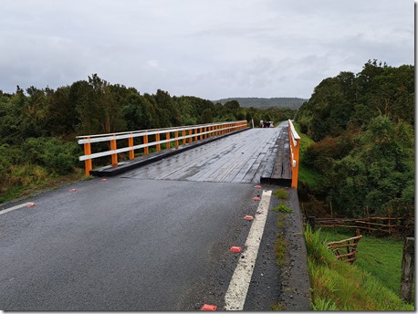 Puente Curanué 2