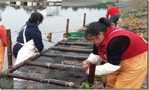 Mujeres pesca artesanal