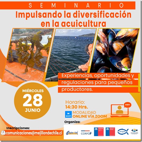 Seminario diversificación, exposiciones.