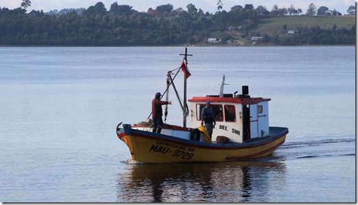 Bahia-Ancud-manejo-sustentable-pesca-recursos-marinos-bentónicos