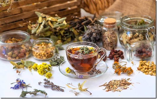 Salud al alcance de tu taza_ ¡exploremos las infusiones medicinales!