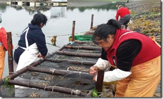 mujeres pesca artesanal 1