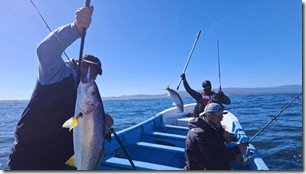 Diseño sin título - 1