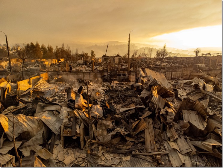 WhatsApp Image 2026-01-19 at 5.44.10 PM (7)