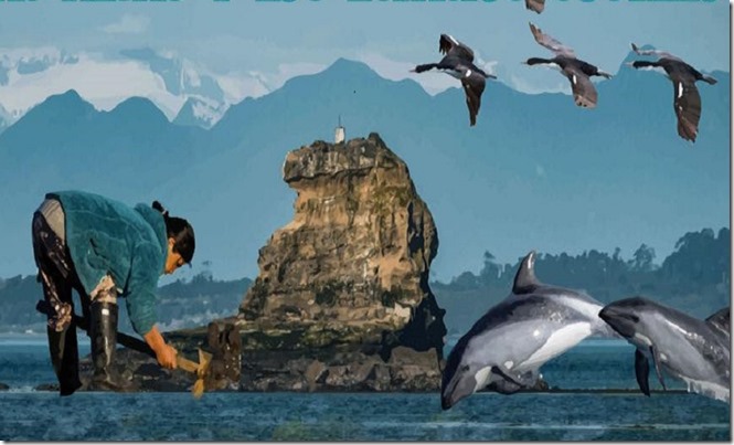 festival-algas-ECMPO